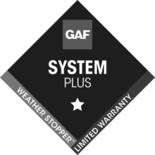 System Plus