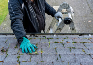 Keep Your Roof Maintained